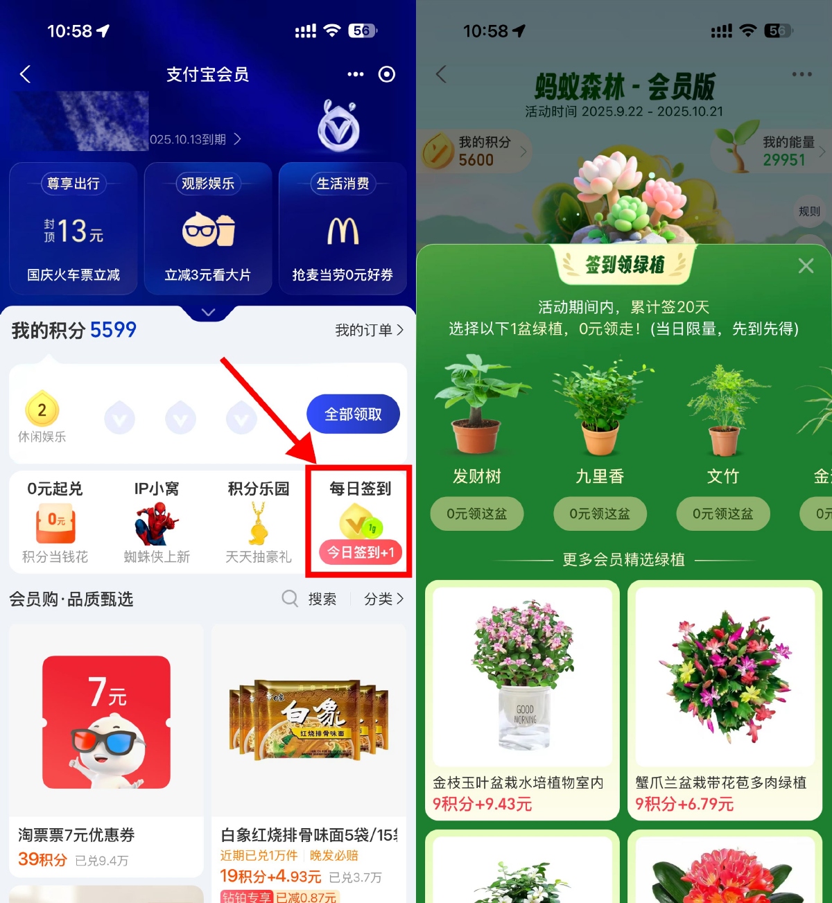 其他活动 支付宝蚂蚁森林签20天领绿植